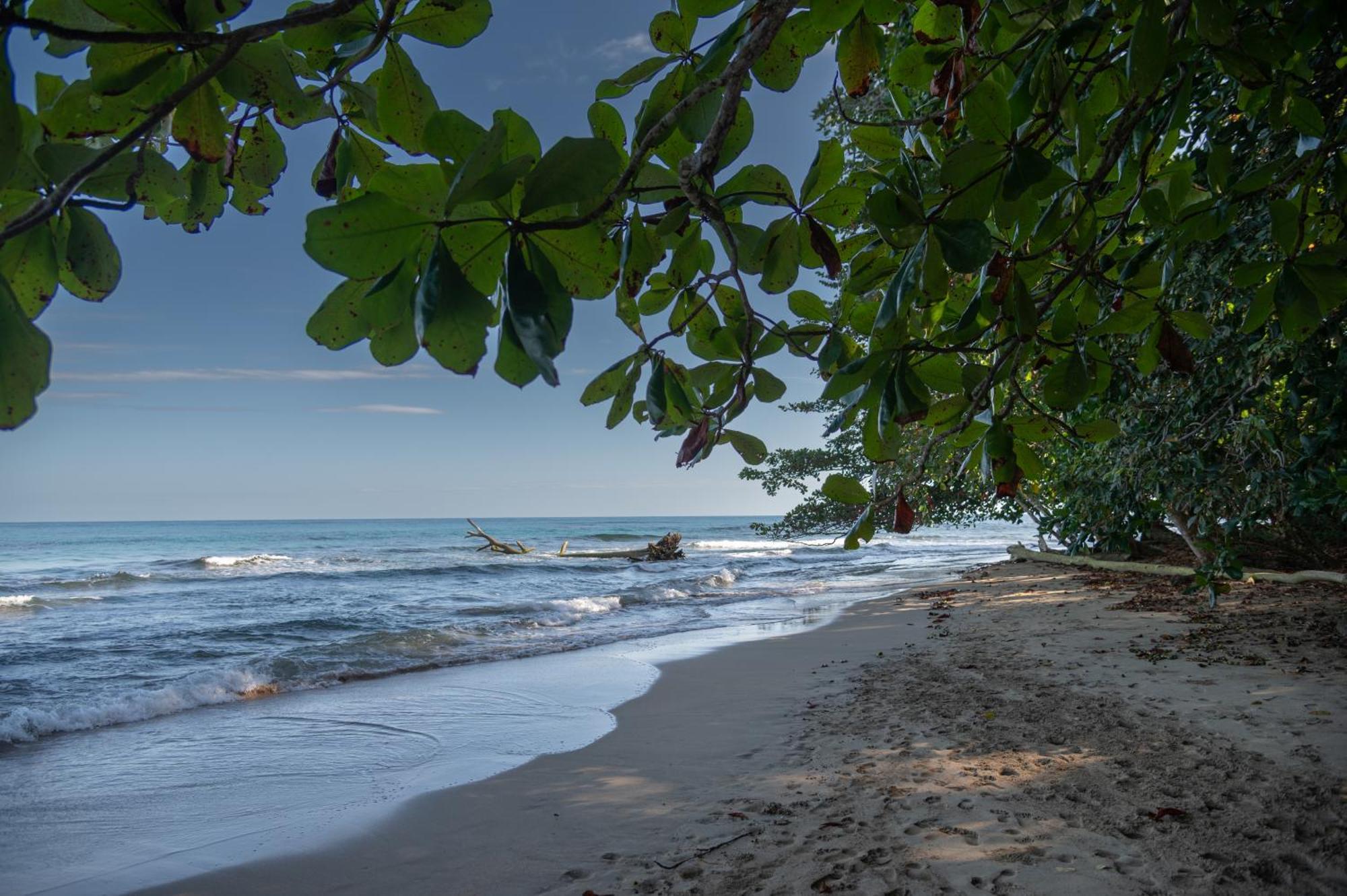 Le Cameleon Boutique Hotel Puerto Viejo de Talamanca Luaran gambar