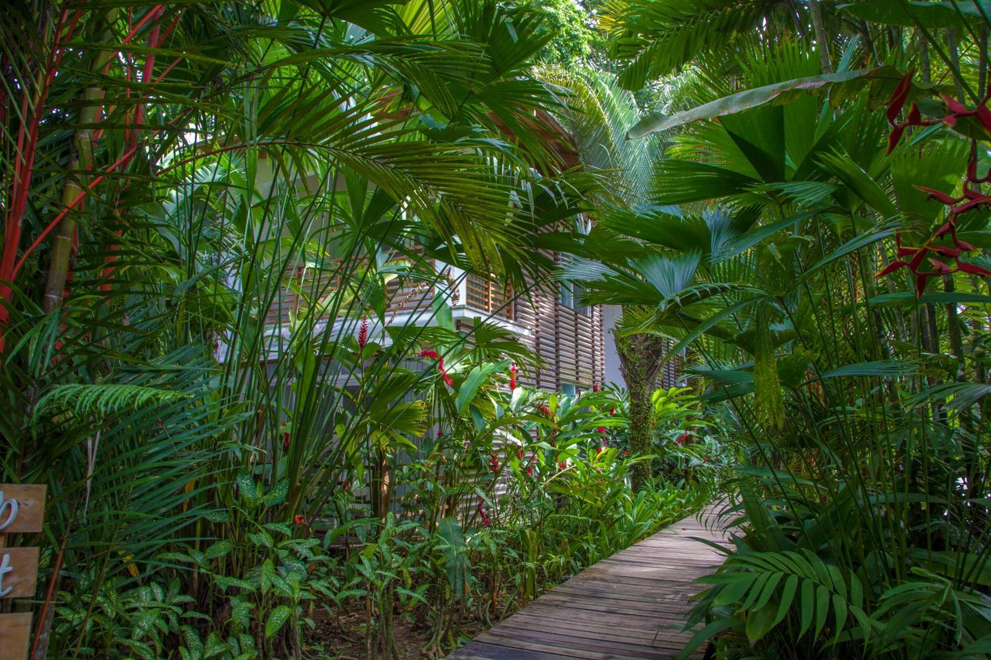 Le Cameleon Boutique Hotel Puerto Viejo de Talamanca Luaran gambar