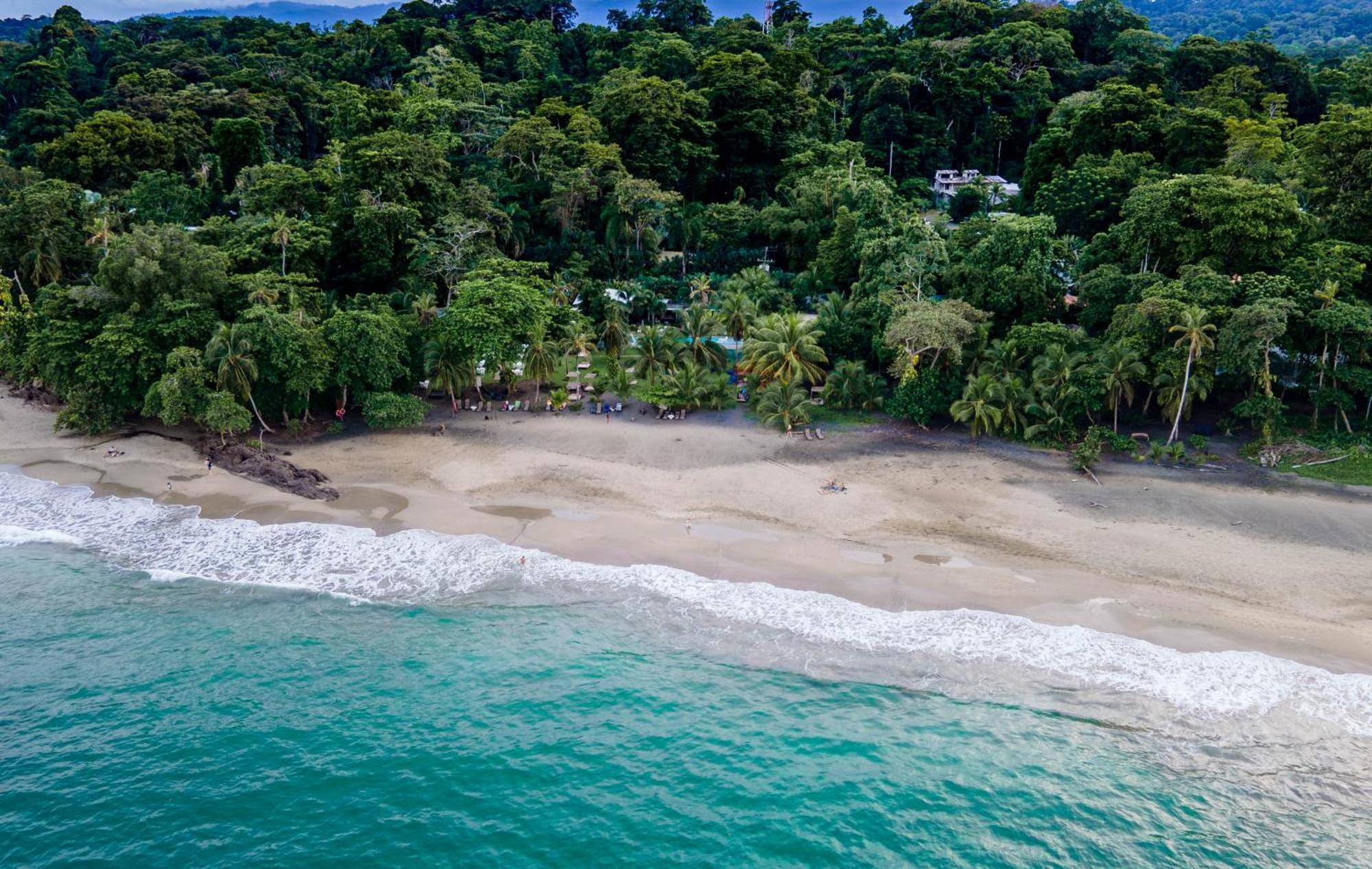 Le Cameleon Boutique Hotel Puerto Viejo de Talamanca Luaran gambar